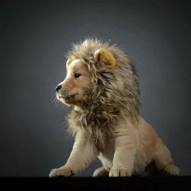 Futrzana czapka dla kota kostium w stylu lwa peruka dla kota Halloween śliczny kostium dla zwierząt z uszami imprezowe zwierze domowe kot akcesoria