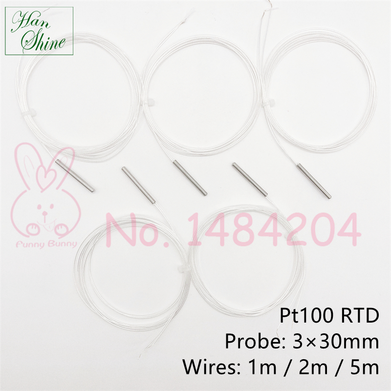 5 PCS Rtd Pt100 Probe 3mm * 30mm 1m 2m 5m 2 Wire High Temperature Sensor -50~200 °C Platinum Resistance PT 100 Temp Detector