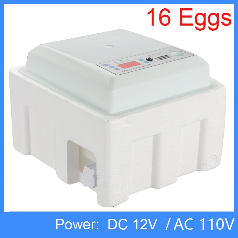 160 oeufs incubateur couveuse oiseau caille incubateur 220V 110V poussin écloserie volaille éclosoir tourneur automatique ferme incubateur outils: AC 110V DC 12V