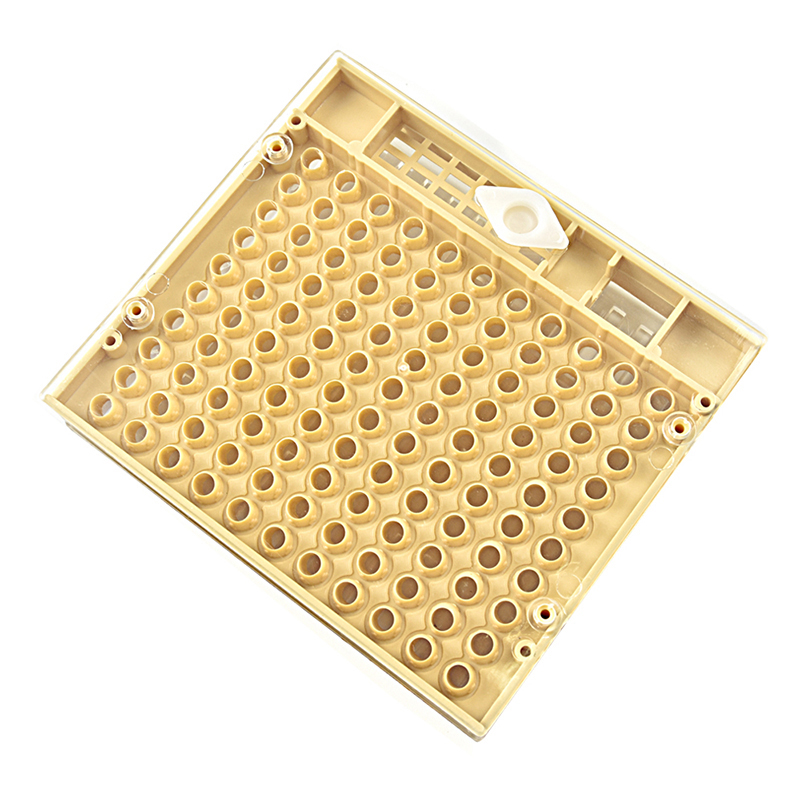 DLKKLB apicultura 1 piezas Nicot Abeja Reina cría sistema apicultura cultivar la reina sistema de caja de plástico de Nicot jaula herramientas Caja para Cultivar Abejas
