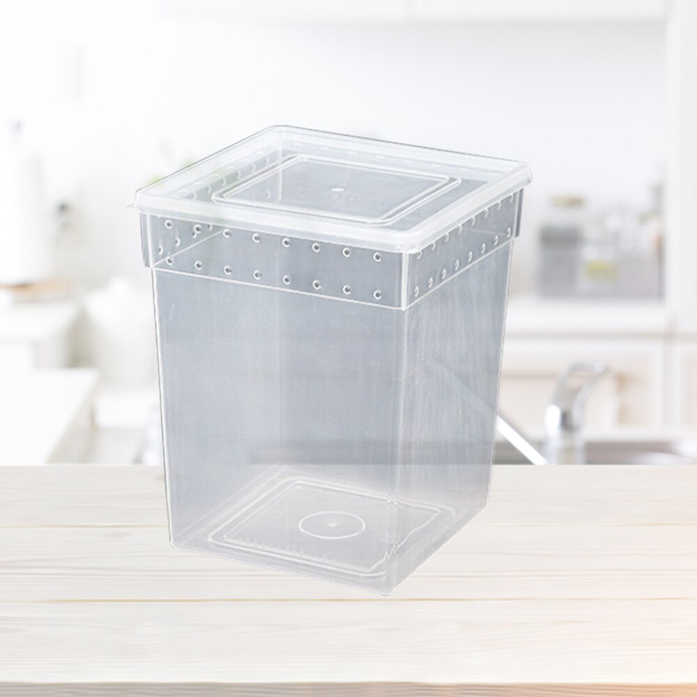 Reptile Box Climbing Pet Feeding Container Special Transparent Breeding Box for Spider Lizard Tree