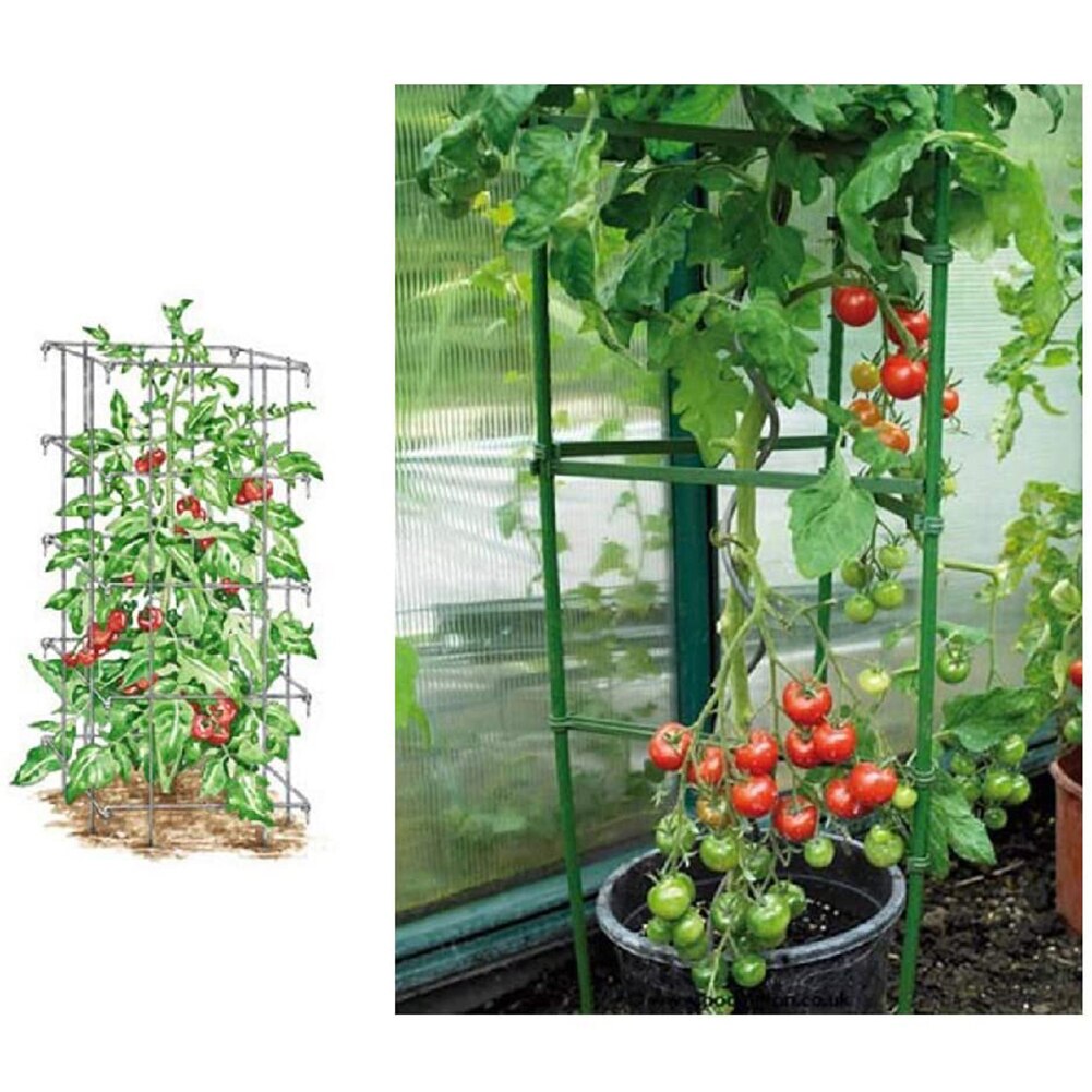 Dropshippping 12 stk plante vinranke tomat espalier bur kobling innsats armer brakett hageverktøy ikke-utvidbart enkel å bruke