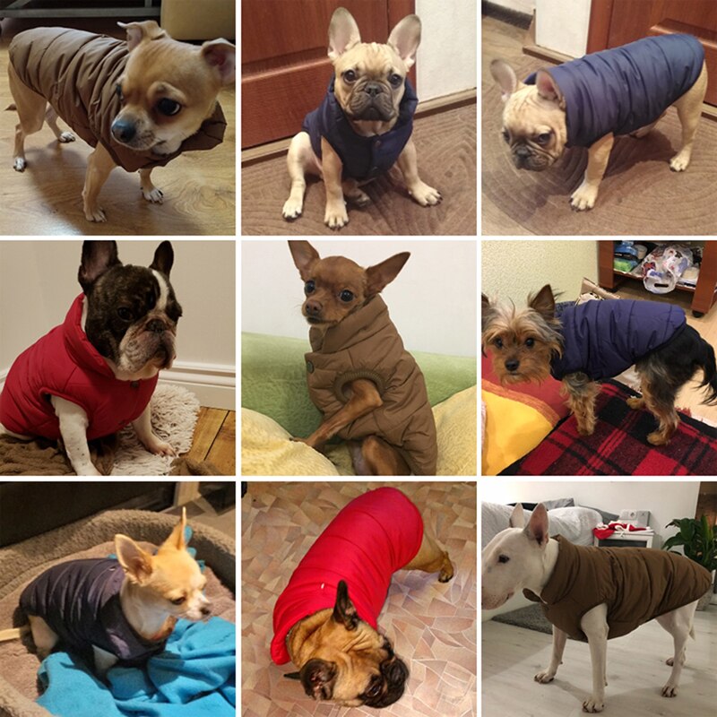 Winter Pet Coat Clothes For Dogs Winter Clothing Warm Dog Clothes For Small Dogs Windproof Big Dog Coat Winter Clothes