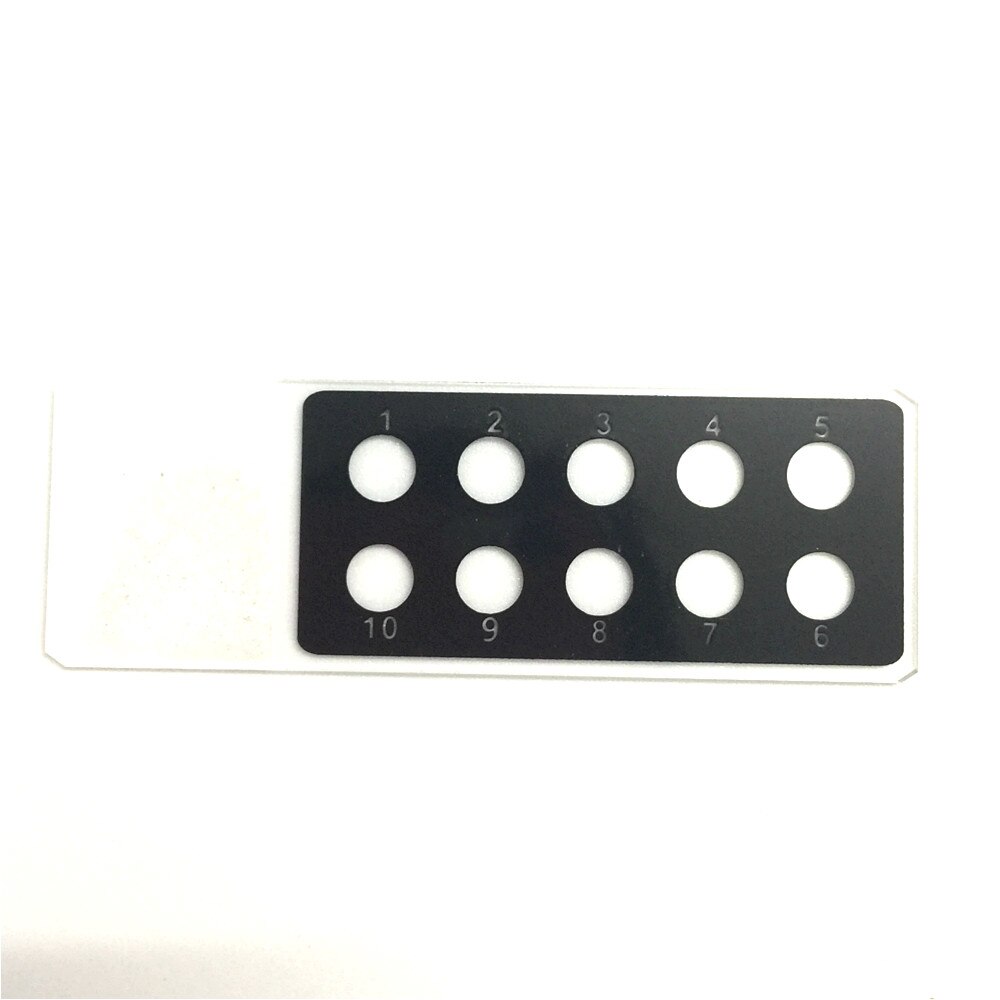 Immunofluorescence In Situ Hybridization Microscope Slides Diagnostic Slide Antigen Porous Slide 10 Well 1''x3'' 5 Pcs