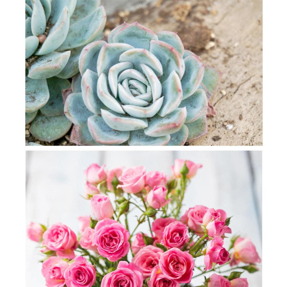 1* led grow lampe 50w 220v 50 led grow light lampe for drivhusplanter hydroponics grønnsaksfrukt