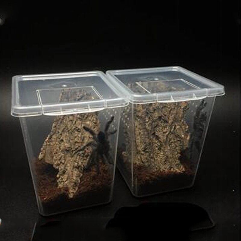 Jaula acrílica para reptiles, terrario transparente transpirable, para cría de serpiente, lagarto, anfibio, Rana, Araña, 1 Uds.