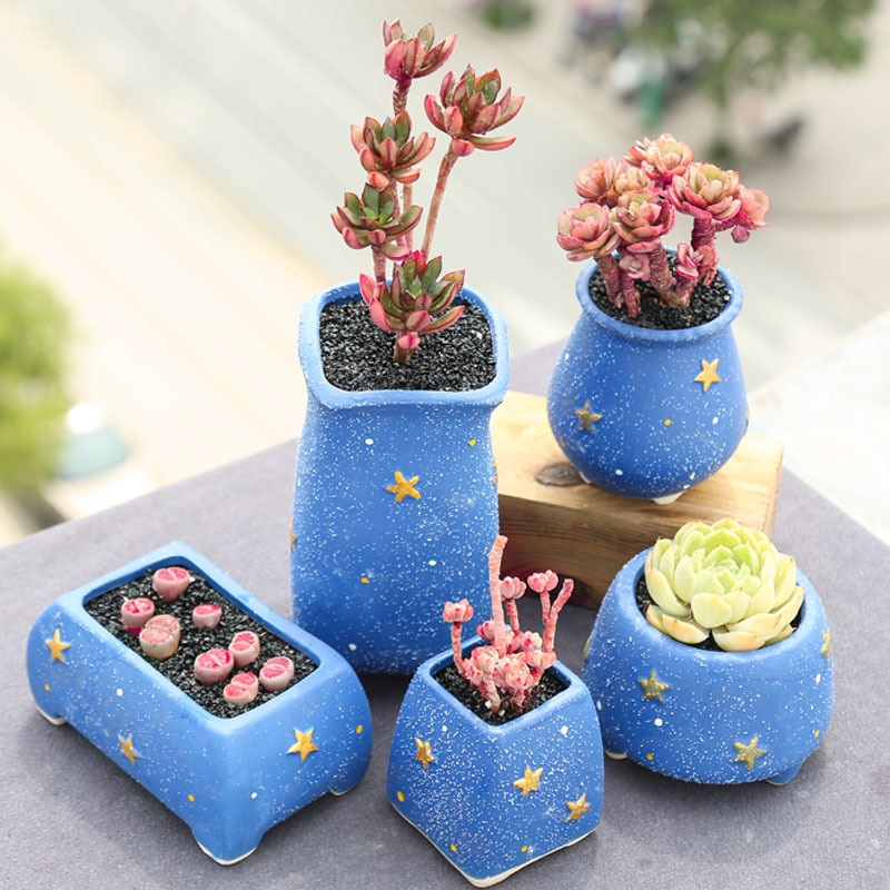 Succulent Bloempot Keramische Combinatie Set Kleine Verse Speciale Vlezige Plant Pot