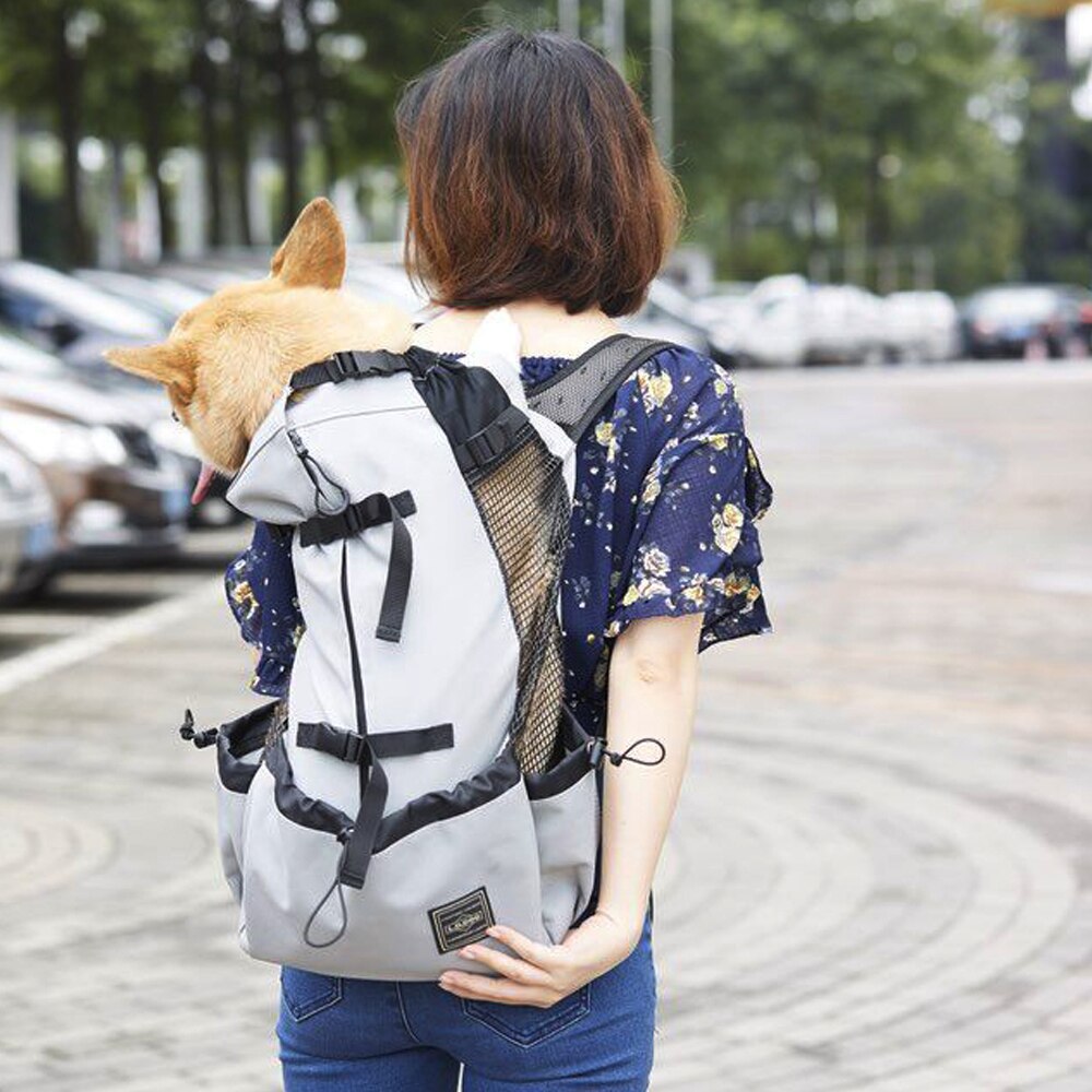 motos sacs à dos pour animaux de compagnie voyage moto sac pour animaux de compagnie adapté aux chats chiens animaux de compagnie: gray / XL