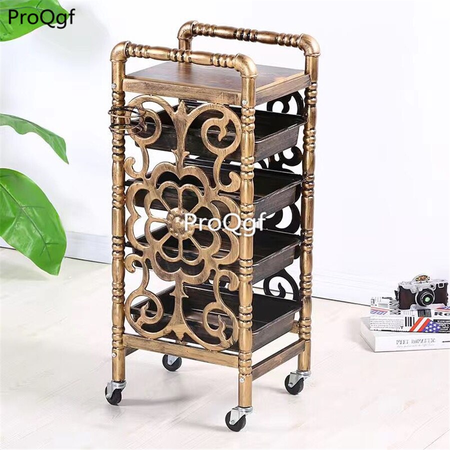 Prodgf 1 Stuks Een Set Verwijderbare Kapsalon Trolley: 07
