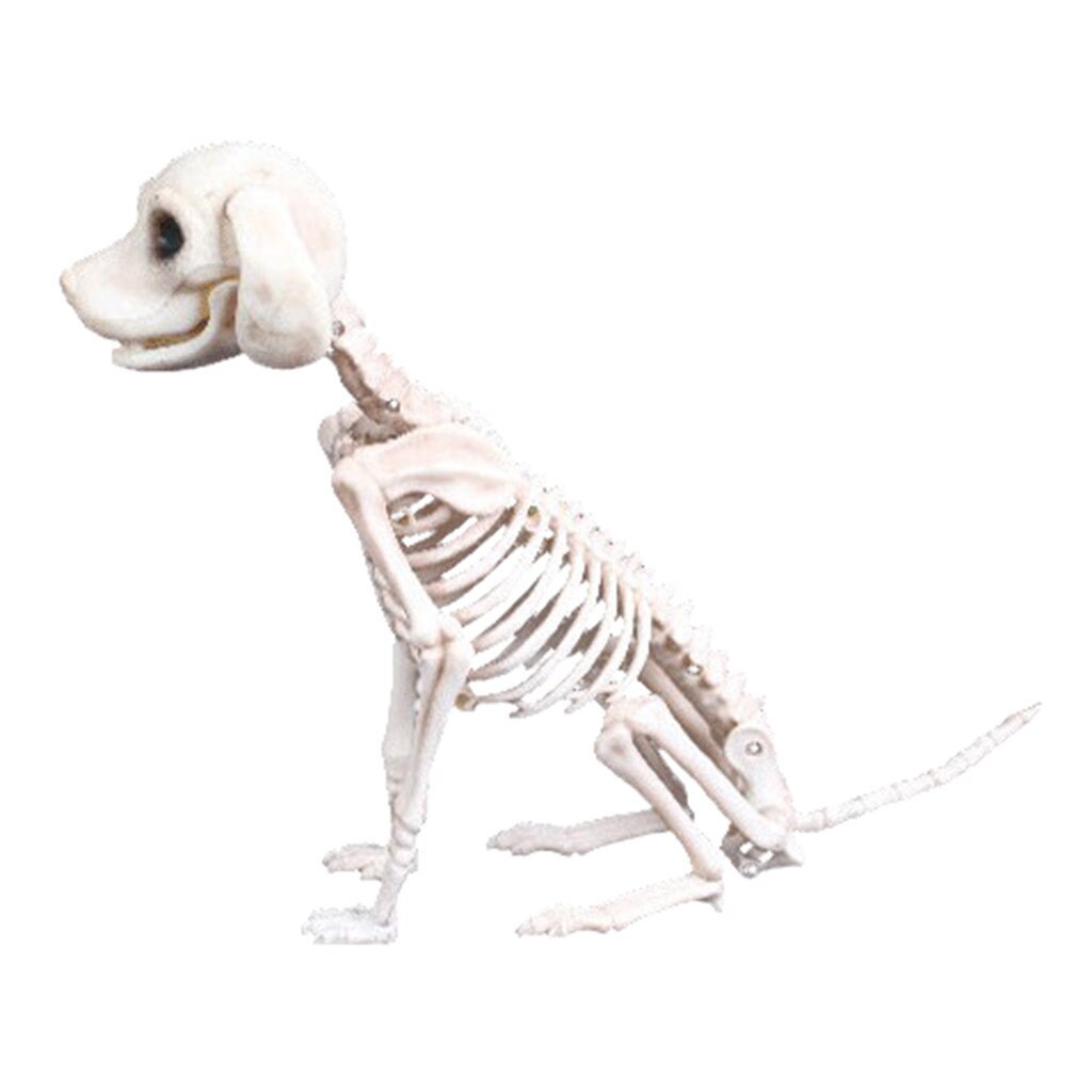 Halloween skjelett hund rekvisitt dyr bein fest butikk dekorasjon skrekk hund skjelett skalle halloween skrekk dekorasjon rekvisitter: Default Title