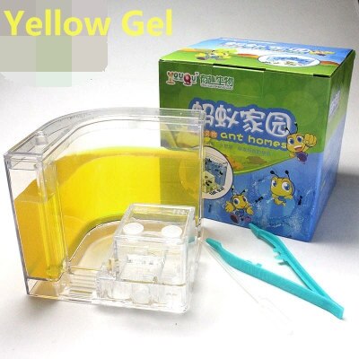 LED Ant Farm Home Ecological Insect Ecology Box Science Educational for Children Ants Pet Toys Reptile 6 Colors Ant Nest: yellow