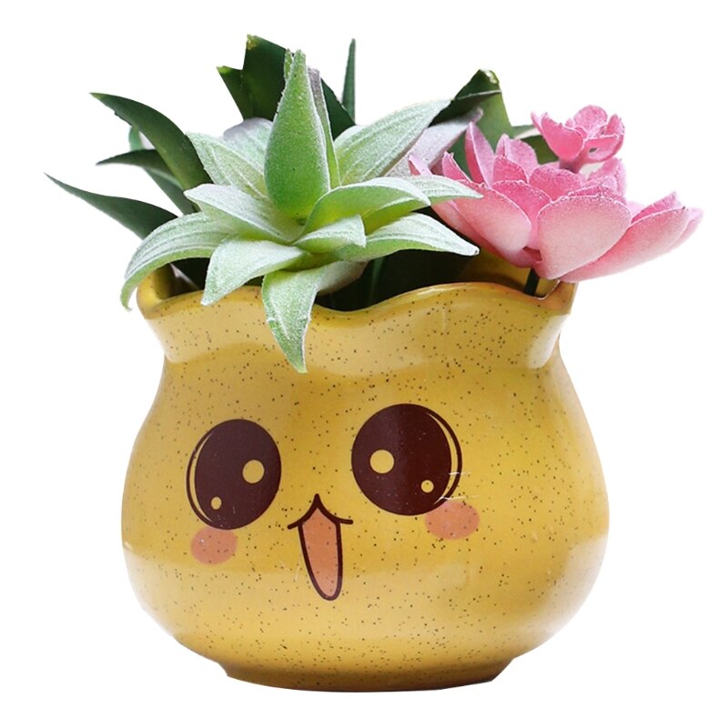 4 Pcs Cute Expression Ceramic Flower Pot Minimalist Succulent Vase for Indoor Plants Water Absorption Flowerpot Plants: Y