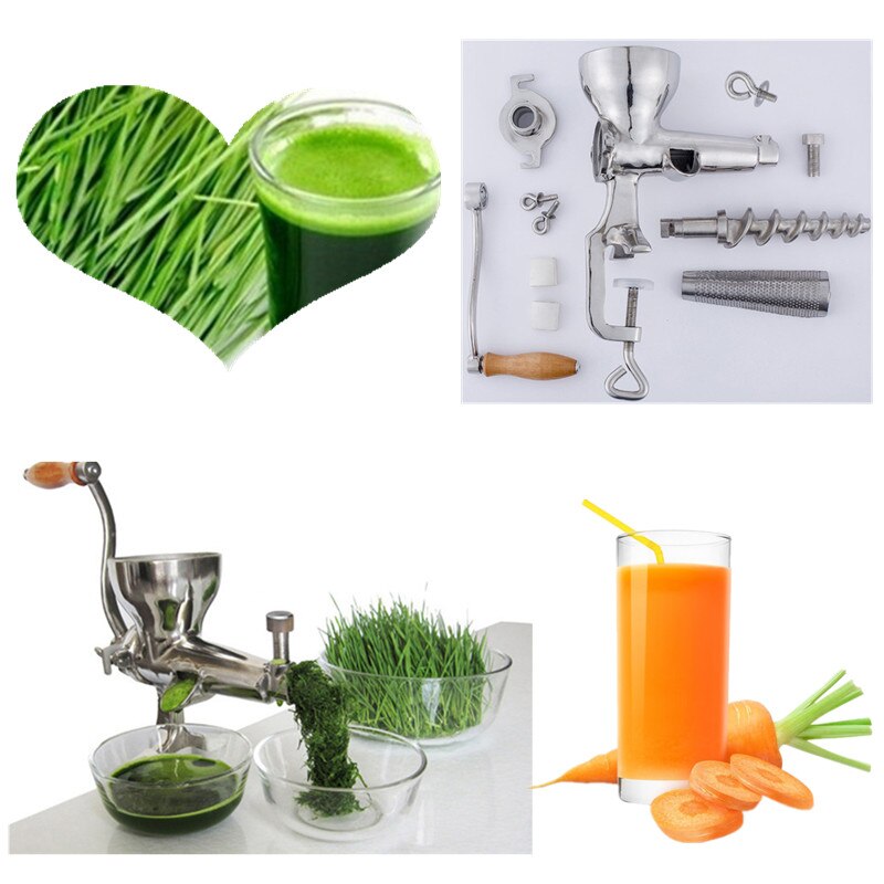 Wheatgrass juicer auger slow squeezer fruits wheat grass vegetable orange juice extractor machine