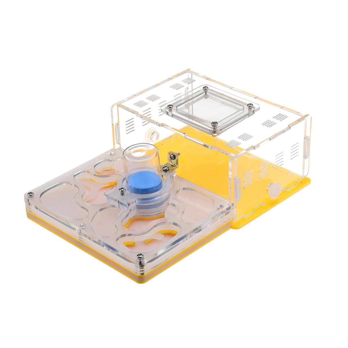 DIY Ameise Nest Ameise Bauernhof Ameisen Arbeit Pädagogisches Formicarium Acryl Insekt Ameise Nester Villa Haustier Manie Haus freundlicher