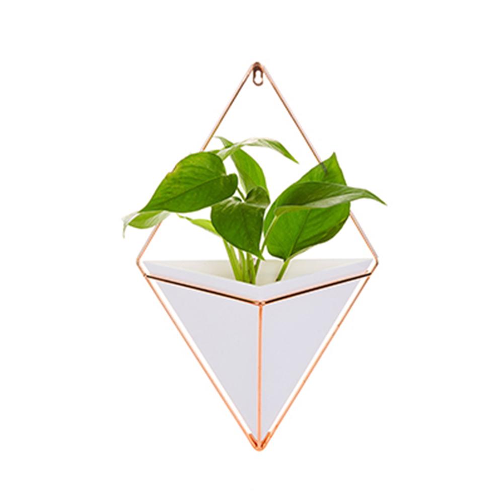 Maceta de acrílico + soportes de plantas de hierro Set de macetas colgantes para interiores jarrón geométrico decoración de pared contenedor macetas de plantas carnosas: White / L