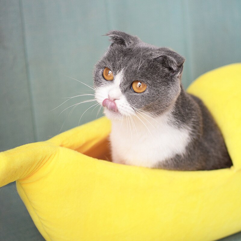 Banan katt hus stängt söt katt säng hund sängar vinter varm husdjur uppvärmd matta liten hund valp kennel hus för katter sovsäck