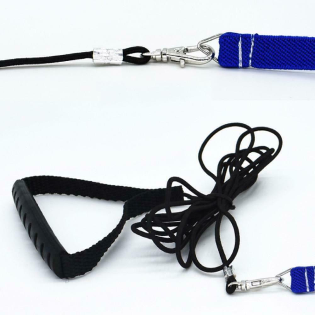 Papegaaien, trekkoorden, harnassen, riemriemen voor buitentraining, vliegende winkel