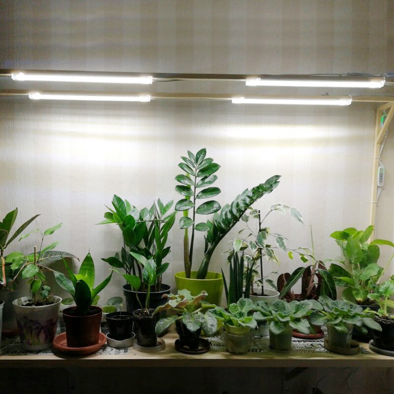 Phytolamp Voor Planten Timer Licht Groeien Strips 5V Hydrocultuur Orchideeën Phyto Lamp Voor Planten Zaailingen Thuis Wit Spectrum led