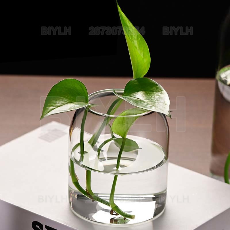 Vase à fleurs en verre pour plantes hydroponiques créatives, bouteille moderne et Simple, pour centres de table, bureau, maison, salle à manger, mariage, mariage moderne