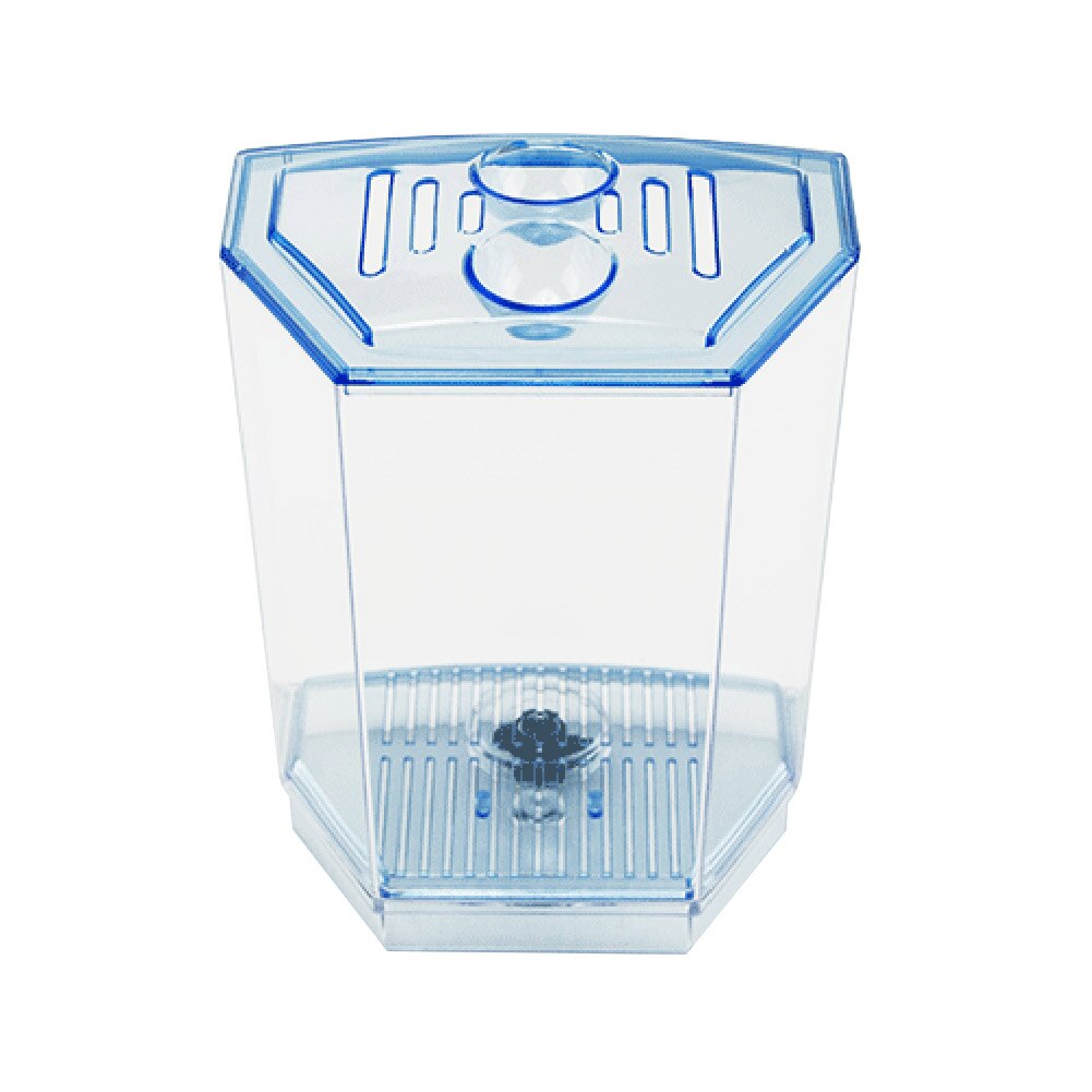 Mini Aquarium pratique et joli | Petit Aquarium Durable avec herbe, plastique acrylique pour maison bureau XH8Z AU10: L