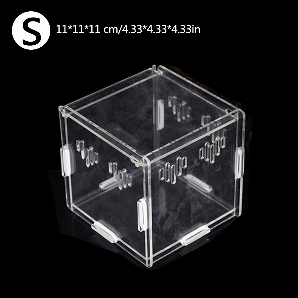 Pet Reptile Transparent Feeding Box Amphibian Feeding Box Snake Breeding Box Spider Lizard Scorpion Centipede Stitching Box: 11x11x11CM