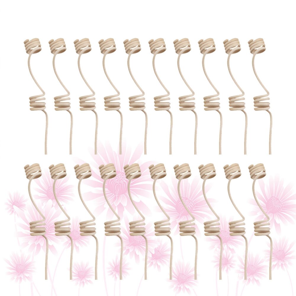 20Pcs Rotan Riet Stokken Dubbele Spiraal Hoofd Nuttig Portable Geur Voor Kantoor
