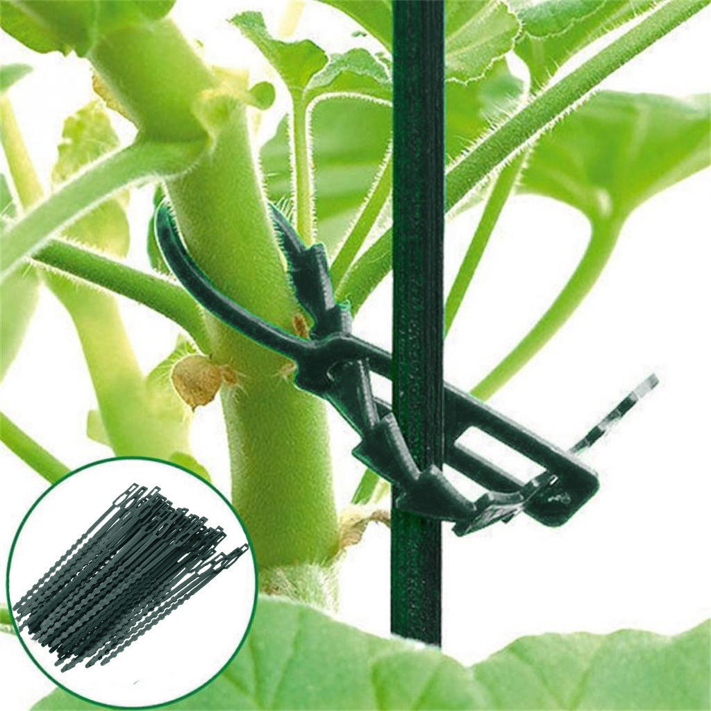 50pc plant snoddar robust grön belagd tråd för trädgårdsarbete återanvändbar kabel växt buntband växt vinstock tomat stamklämma  #j2s: Default Title
