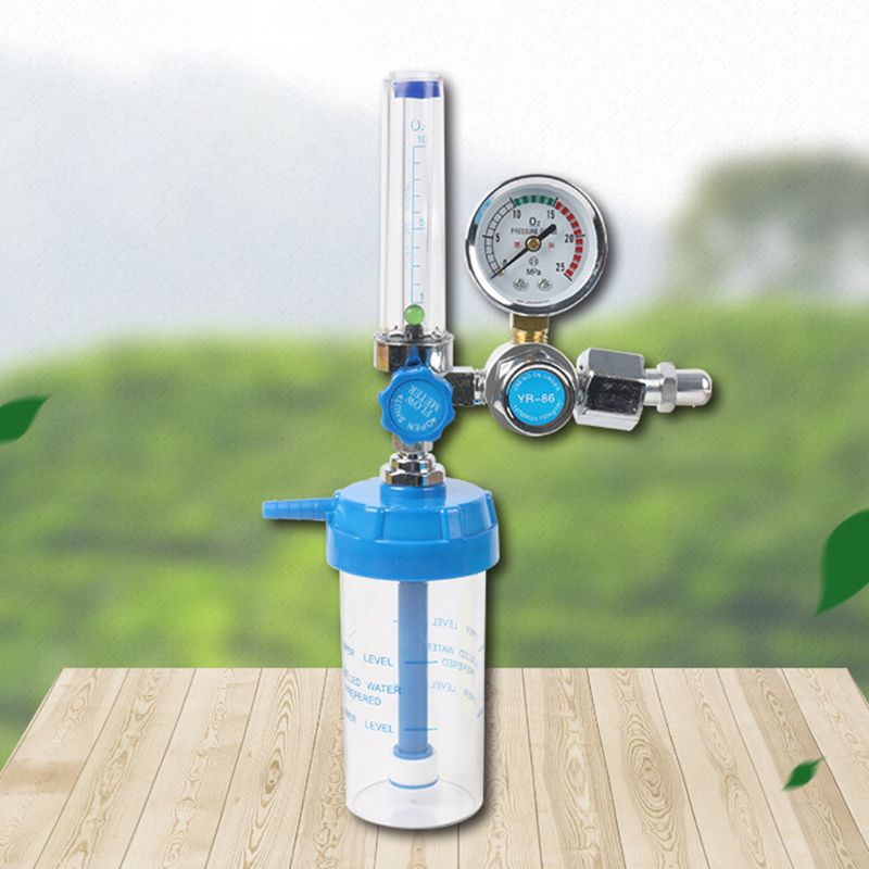 Oxygen Flow Meter Oxygen Flowmeter Pressure Gauge Oxygen Pressure Regulator 0-10L/min G5/8 for Elderly Pr X5QC