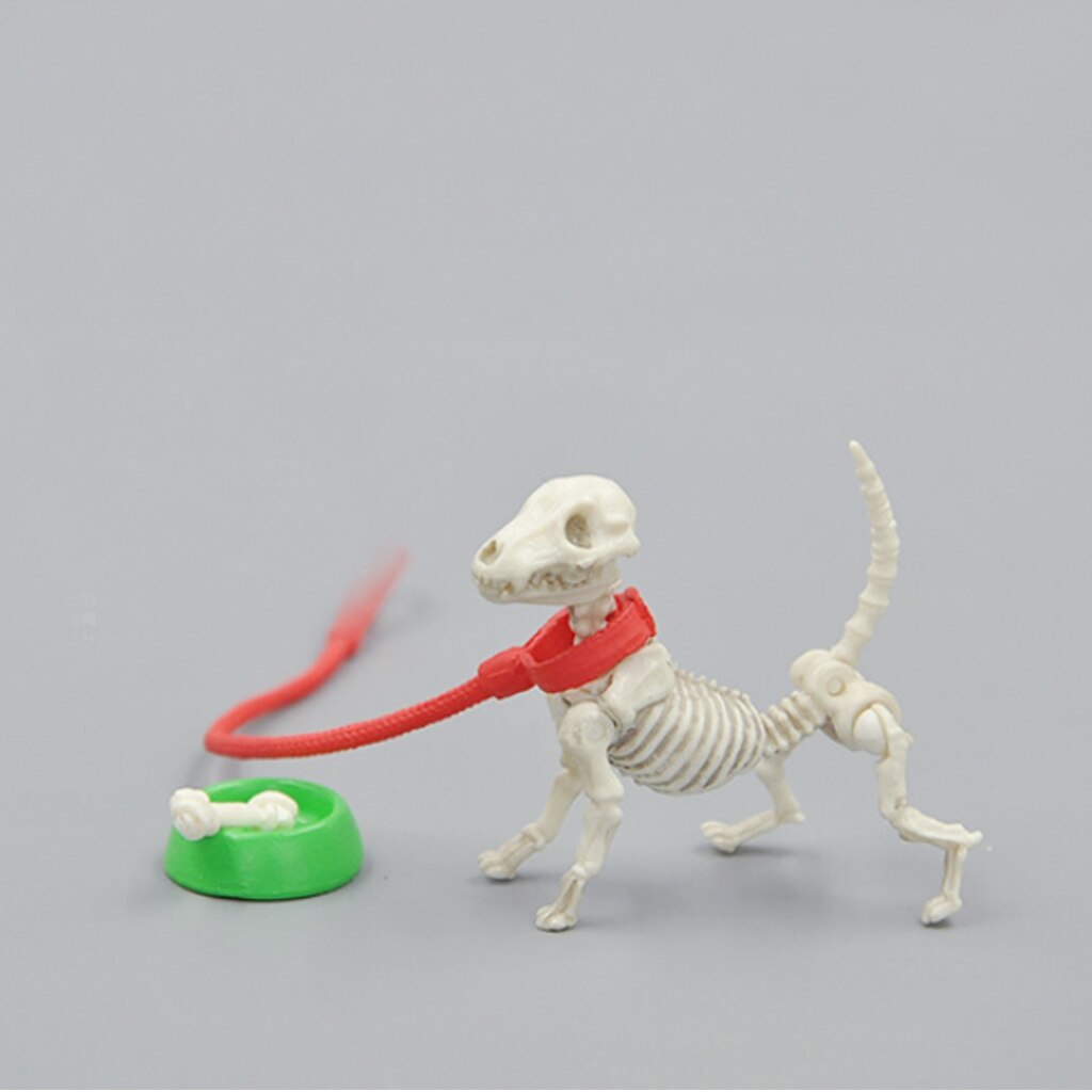 Miniature Skeleton Dog Bowl Bone Crafts Plastic Photo Props