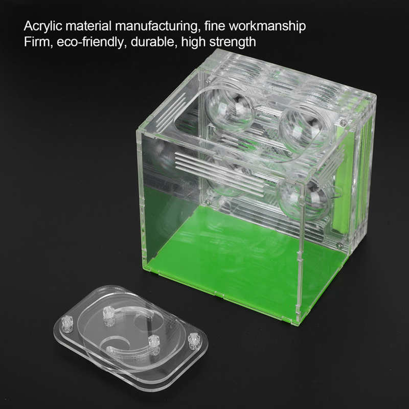 Insects Box Reptiles Living Box Transparent Acrylic Ant Breeding Box Watching Feeding Moisturizing Pet Ants Case C Type