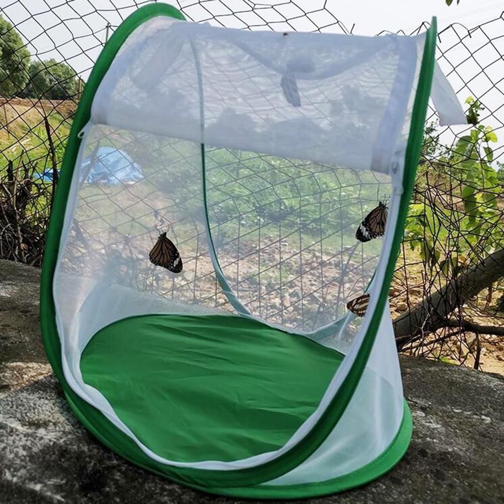 Insect Kooi Opvouwbare Te Dragen Groene Insect Mesh Kooi Terrarium Voor Tuin