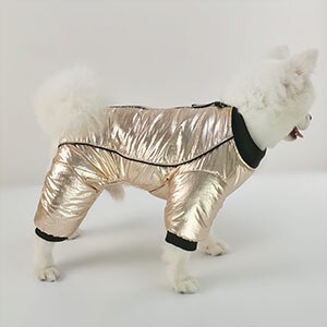 Vinter jacka för hund, mjuk fleece, varma kläder för hundar vattentäta valp jumpsuits chihuahua fransk bulldog bomull kläder: Guld- / S