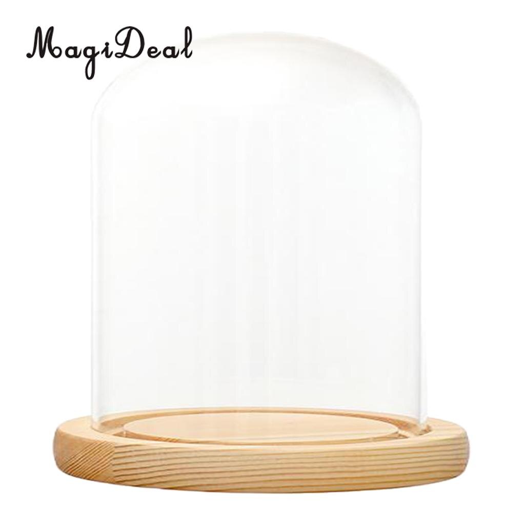 Desk Decor Glass Light Up Display Dome Cover Shade Shield With Wood Cork Home Decorations for Pub Bar Cafe