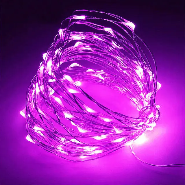 10/20/30M USB LED String Lights Copper Silver Wire Garland Light Waterproof Fairy Lights For Christmas Wedding Party Decoration: PURPLE / 0.5W
