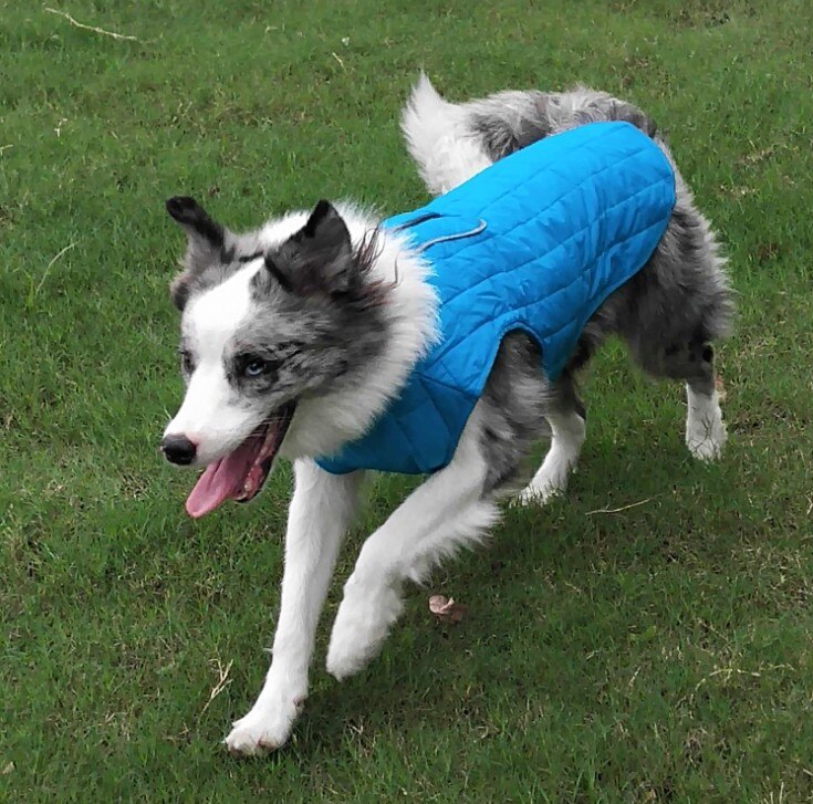 Winter Warm Dog Clothes Pet Dog Jacket With Harness Reflective Clothes For Big Dogs Labrador Waterproof French Bulldog Jacket