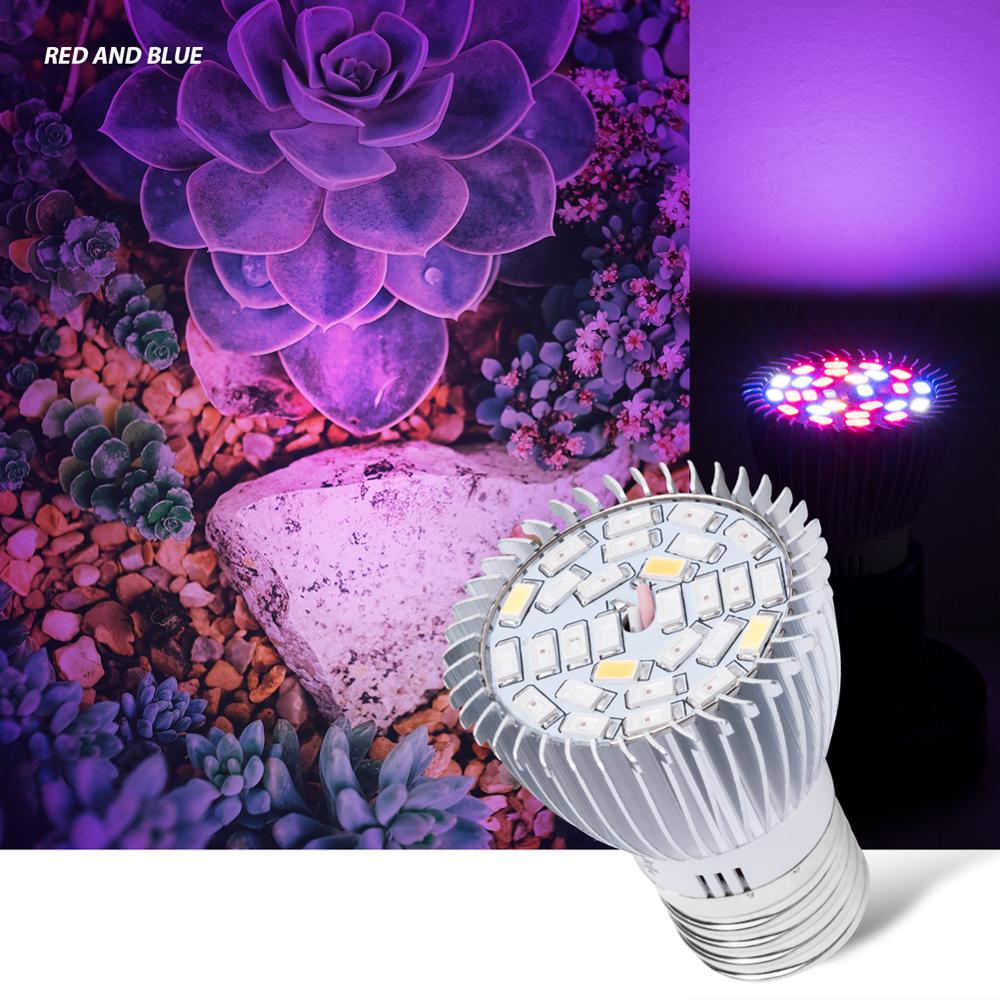 E27 LED Grow Ligth Full Spectrum LED Bulb Seedling 18W 28W Hydroponics LED Growth Light E14 Greenhouse Plant Lamp 220V Fitolamp