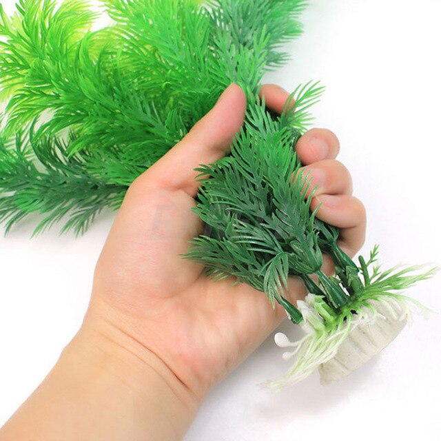 Clear Acryl 5Pcs Coral Frag Stekkers Aquarium Coral Frag Rack Stekkers Houder Fish Tank Marine Reef Accessoire Deel Niet giftig: Grass C