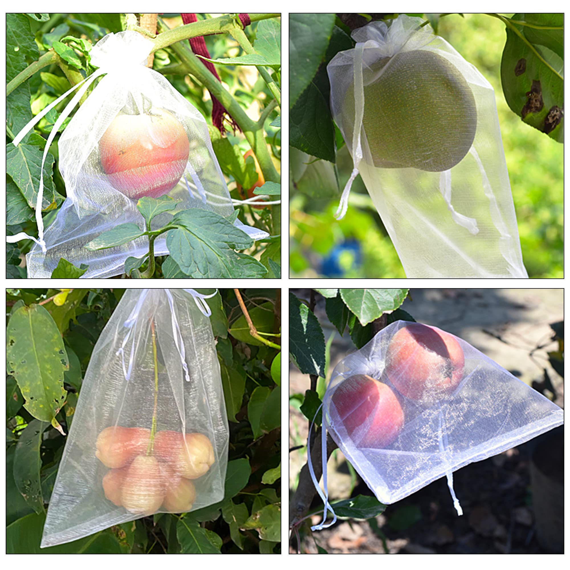 50Pcs Aardbei Druiven Fruit Bescherming Zakken Ongediertebestrijding Anti-Vogel Tuin Netting Zakken Mesh Druif Bag Planter Grow tassen