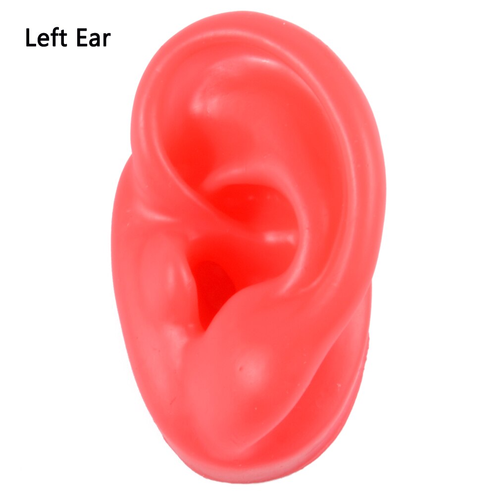 Weiche Silikon Ohr Modell Für hörgerät 1:1 menschliches Ohr ohr modell simulation display requisiten lehre werkzeuge Schmuck display Ohrringe: 1PC Red Left