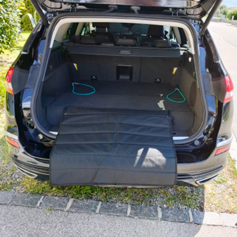 Tragbare Auto Boot Einstiegsleisten für Hunde Stoß... – Grandado