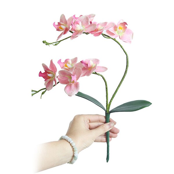 Artificial Flower Branch Silk Artificial Moth Orchid Butterfly Orchid for DIY House Wedding Festival Home Decoration: C