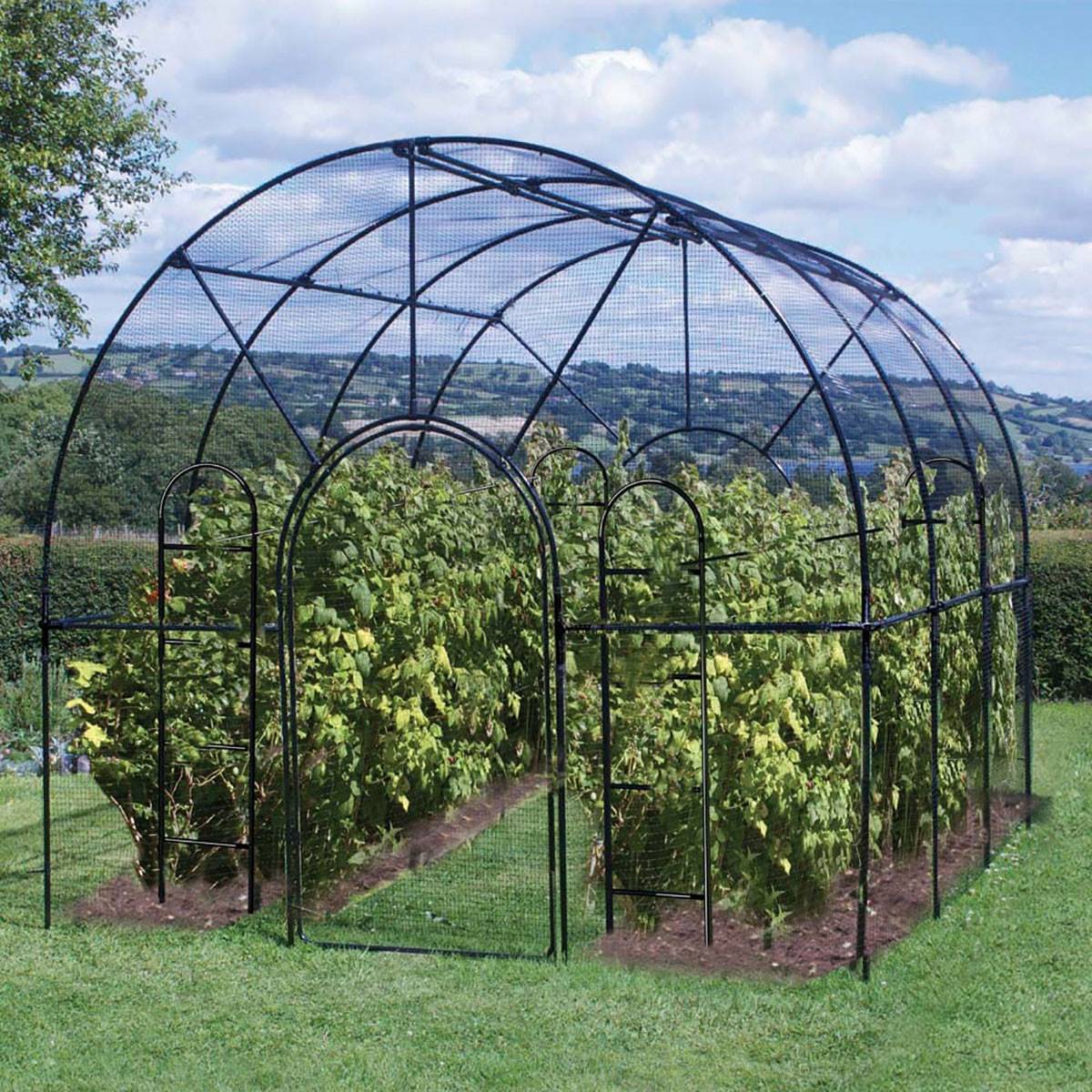 Vijver Insect Zwart Vijver Tuin Netting Anti Bug Vogel Insect Be... – Vicedeal