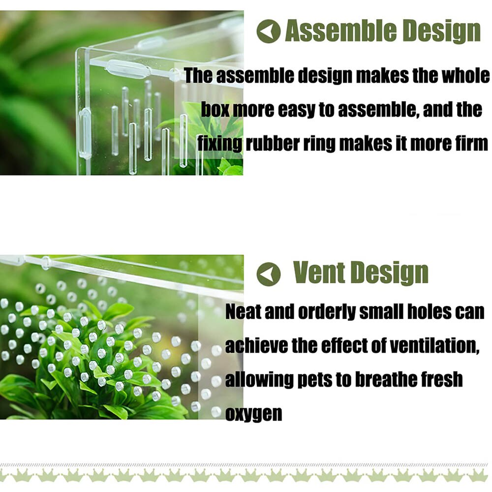 transparent Acryl Reptil Fütterung Insekt Kasten Gottesanbeterin Zucht Kasten Insekt Reptil KäFeige Terrarium Fütterung Kasten Tausendfüßler gehörnt
