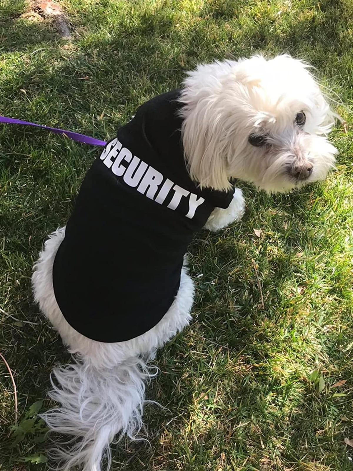Security Clothing for Dogs Summer Pet Clothes Vest for Small Dogs Chihuahua Yorkshire Puppy Cats Low Price Pets T-shirt Costume: XS（old）