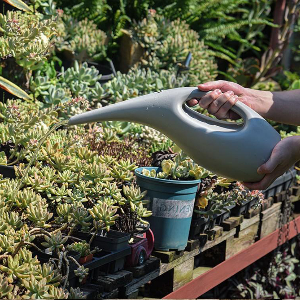 Regadera de jardinería de pico largo, 1,5 2,5 L, para regar plantas de flores, plantas en macetas para interiores y hogares, plantas colgantes, jardines al aire libre