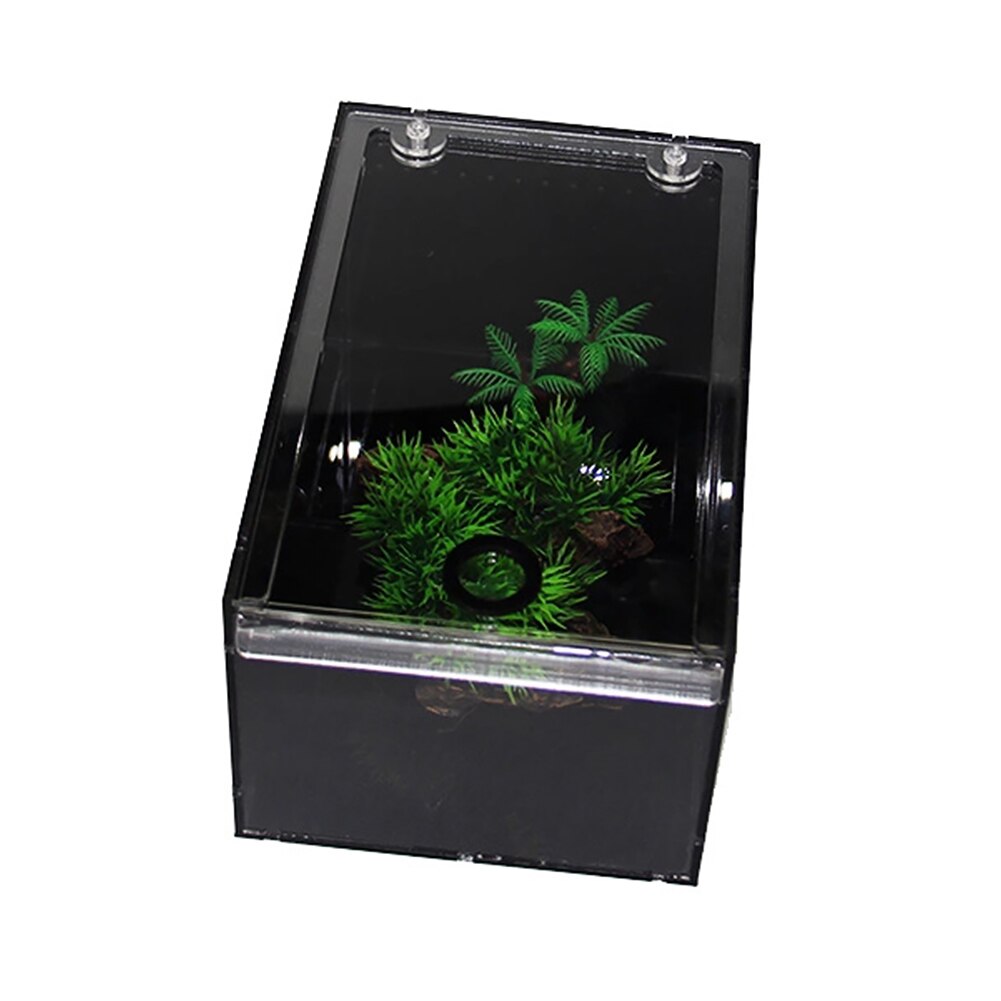 Insecten spinnen reptielen kweekbak doorzichtige voorkant bovenkant gekko's ventilatiegat schildpad zonnescherm terrarium voederbak acryl