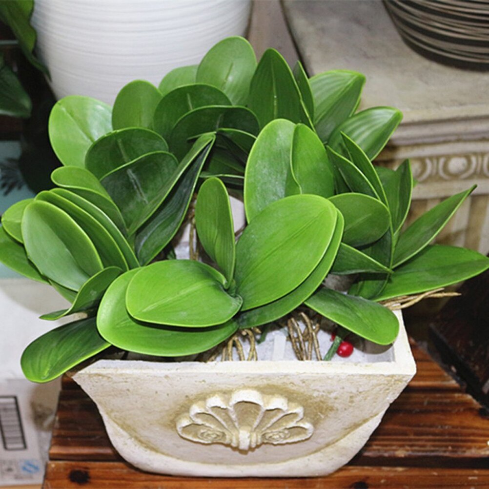 Artificial Phalaenopsis Orchid Leaves 5 Branches Unique Phalaenopsis Green Leaves Orchid Foam Leaves Plant for Home Garden