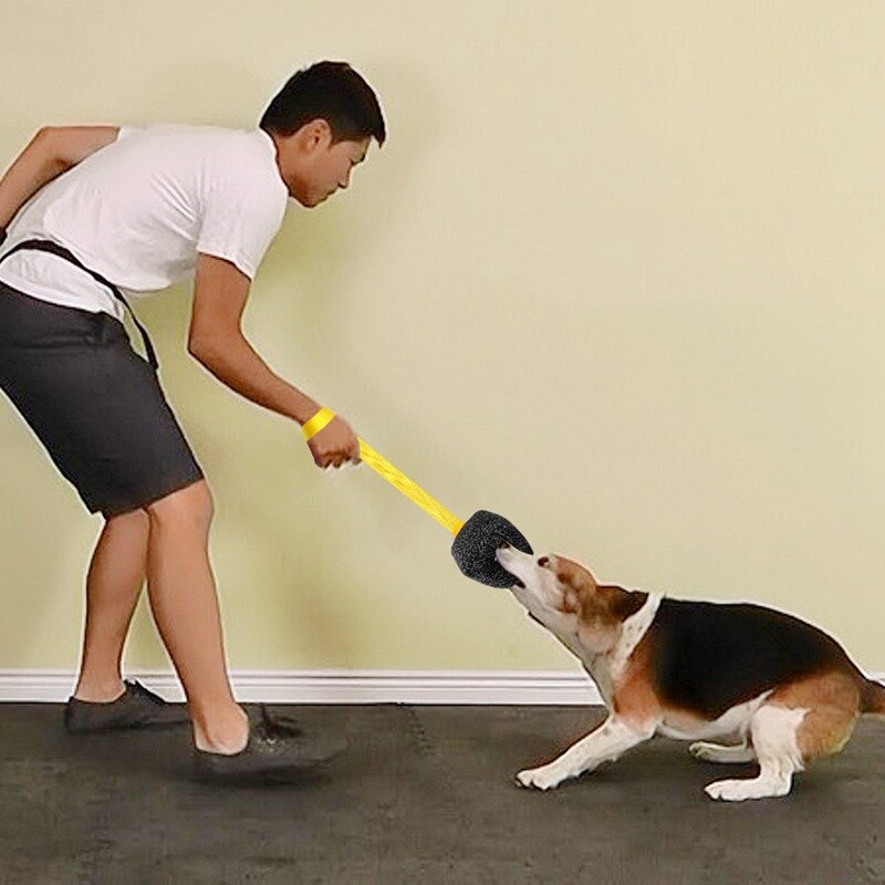 ThinBest-mordedor resistente para el entrenamiento de tu cachorro o perro, Pastor Alemán, molares K9, juguete interactivo para mascotas, juguete Tug