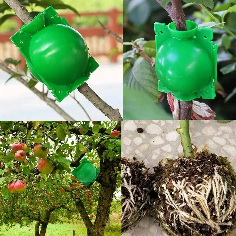 5/20PCS Planten Wroeten Bal Hoge Druk Graft Fokken Case Plastic Kwekerij Doos Voortplanting Plant Wortel Potten tuin Accessoires