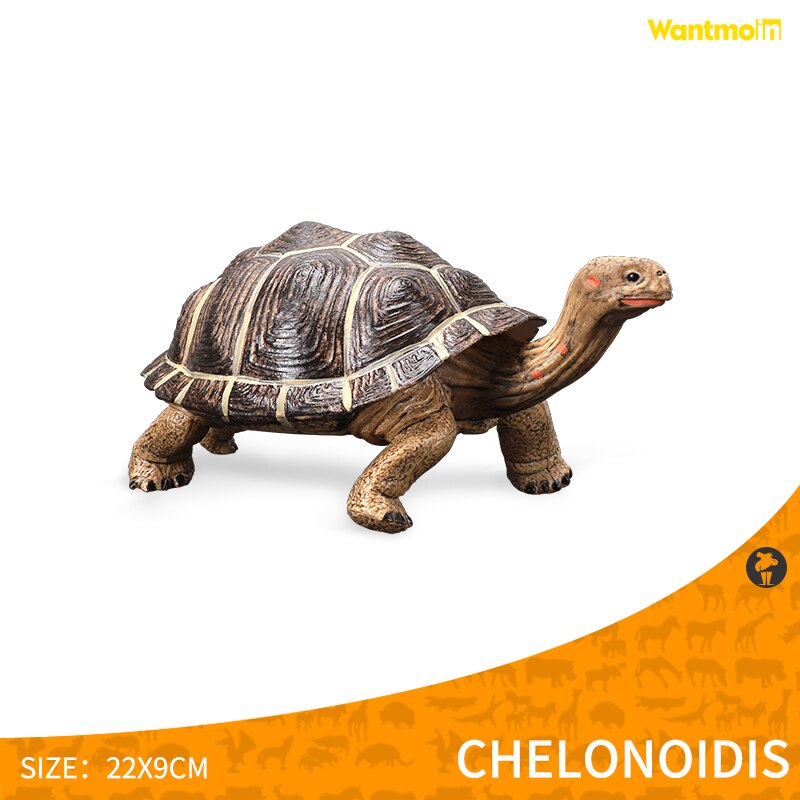 Wantmoin Tortoise animal model Galapagos tortoise tortoise model figure animal toy educational collection children: Tortoise